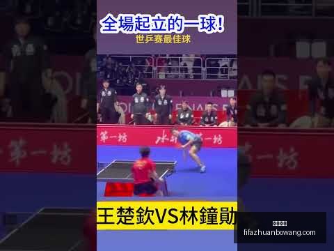 哈尔滨高二,学子篮球盛,风华少年展,大发体育,大发体育平台,大发体育App,大发体育下载